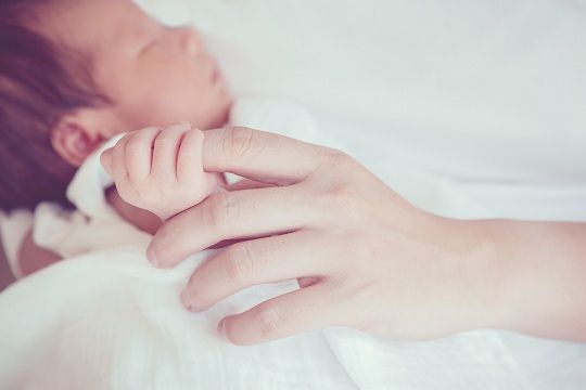 寶寶精細運動